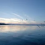 Maremueritz Yachthafen Waren (Mueritz)