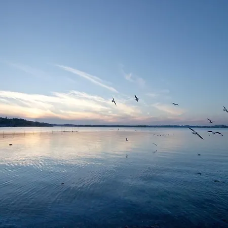 Maremueritz Yachthafen فارين